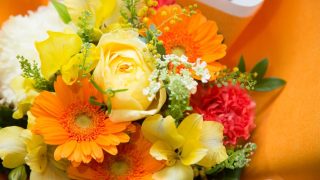 いろコラム🌈愛を彩る春の記念日「オレンジデー」